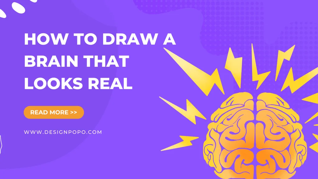 6 Steps How to Draw a Brain Looks Like Real: Try It to Upgrade Your Skill 8 6 Steps How to Draw a Brain Looks Like Real: Try It to Upgrade Your Skill