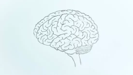 6 Steps How to Draw a Brain Looks Like Real: Try It to Upgrade Your Skill 6 how to draw a brain