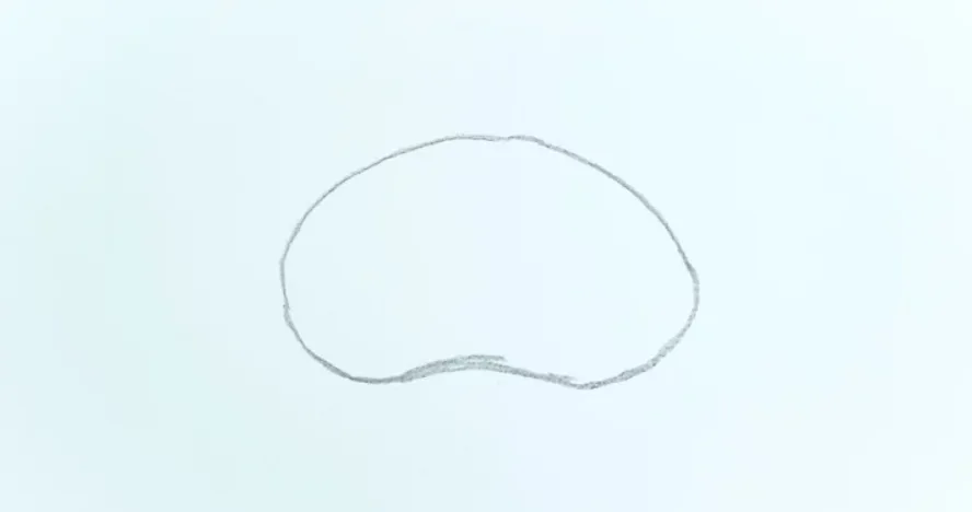 6 Steps How to Draw a Brain Looks Like Real: Try It to Upgrade Your Skill 2 how to draw a brain