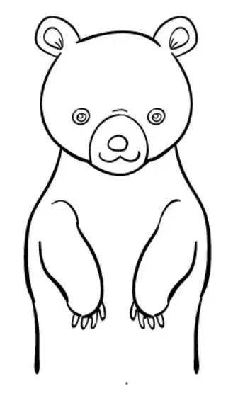 5 Steps How to Draw a Bear: Effectively & Easy 5 How to Draw a Bear