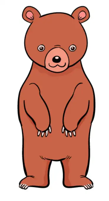 5 Steps How to Draw a Bear: Effectively & Easy 6 How to Draw a Bear
