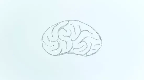 6 Steps How to Draw a Brain Looks Like Real: Try It to Upgrade Your Skill 4 how to draw a brain