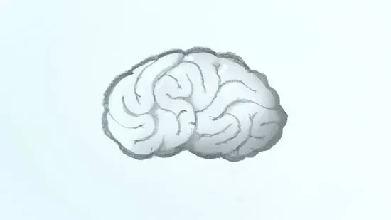 6 Steps How to Draw a Brain Looks Like Real: Try It to Upgrade Your Skill 5 how to draw a brain