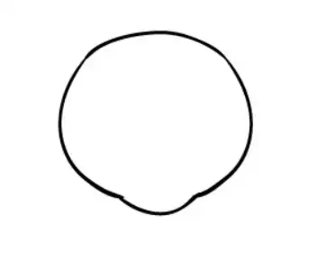5 Steps How to Draw a Bear: Effectively & Easy 2 How to Draw a Bear