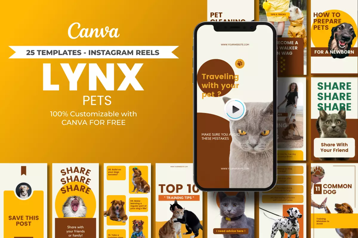 25 Best Instagram Reels Templates Lynx Pet - DESIGNPOPO